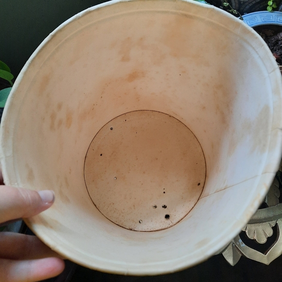 ~{KFC}~ Vintage 1969 KFC Chicken bucket. - Picture 6 of 10